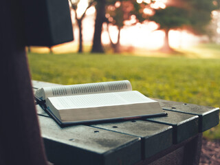 A book on a wooden bench over a green grassy field