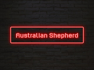 Australian Shepherd のネオン文字