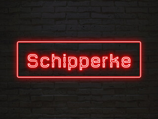 Schipperke のネオン文字