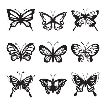 Set of butterfly vector