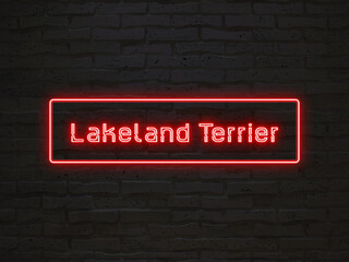 Lakeland Terrier のネオン文字