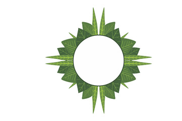 Flora Ornament Border With Design With Transparent Background