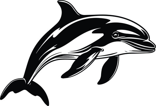 Dolphin Logo Monochrome Design Style