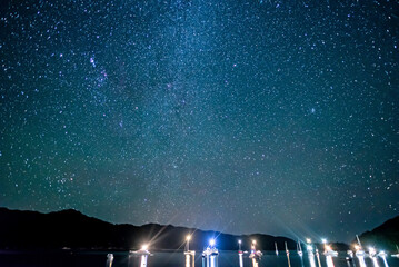 Starry sky above the shape of trees with boats lying at anchor in Abel Tasman National Park, New...