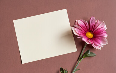 abstract empty template for an invitation, letter, note or greeting card, natural flower next to the paper note, minimalistic design