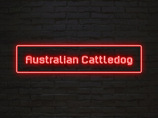 Australian Cattledog のネオン文字