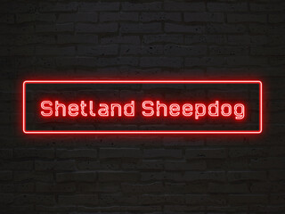 Shetland Sheepdog のネオン文字