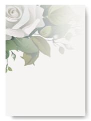 Wedding invitation template with watercolor white rose flower set Floral decoration flyers postcards vintage style vector illustration design