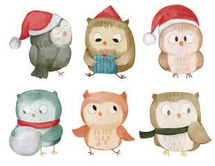 Owl bird . Christmas theme . Watercolor paint cartoon characters . Isolated . Set 1 of 4 . illustration .