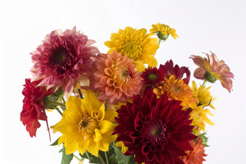 Dhalia, sunflower, and chrysanthemum flowers on a white background. (Generative AI)