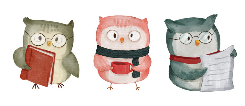 Owl bird . Christmas theme . Watercolor paint cartoon characters . Isolated . Set 4 of 4 . illustration .