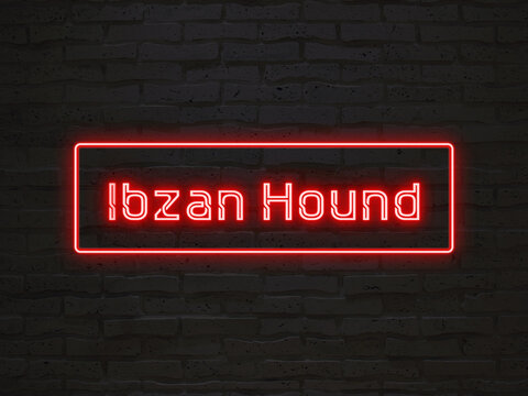 Ibzan Hound のネオン文字