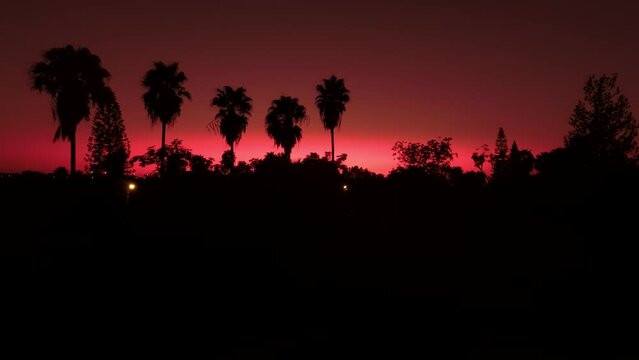 Aerial video of a pink sunset, among trees in Israel