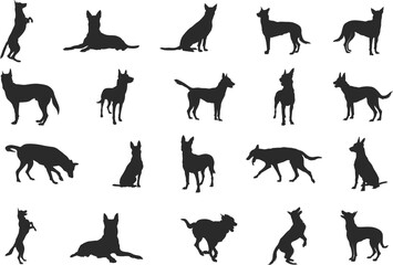Belgian malinois silhouette, Belgian malinois dog silhouettes, Dog silhouettes, Dog icon, Belgian malinois clipart, Dog vector illustration. - obrazy, fototapety, plakaty