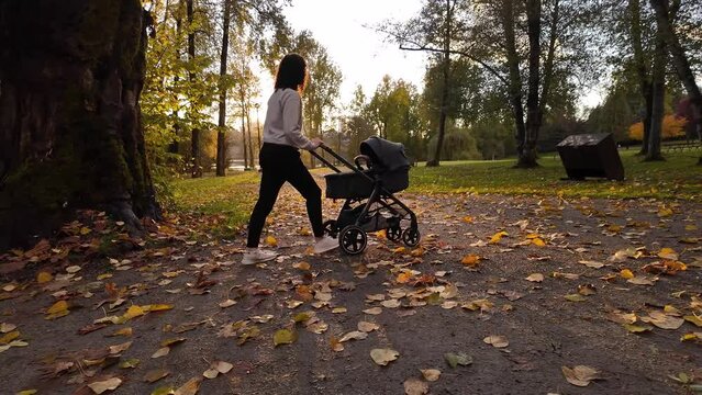 Mother walking with Stroller on Path at Deer Lake. Burnaby, BC Canada. Fall Season. Sunny Sunset. Slow Motion. High quality 4k footage