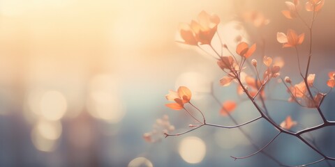 Soft light floral blurred background. - obrazy, fototapety, plakaty