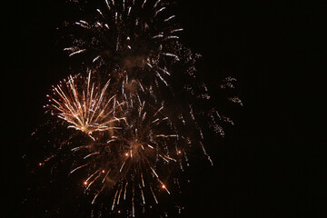 fireworks in the night sky