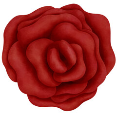 Watercolor red rose illustration.Perfect for valentines day decorations.