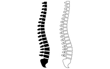 Human skeleton. Spine silhouette. Spine body bones - sacrum, vertebrae, coccyx, side view, flat black color. Anatomy vector illustration. - obrazy, fototapety, plakaty