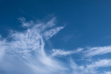 fluffy cirrus clouds in the blue sky. 