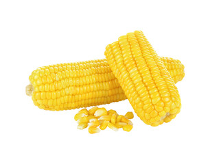 Corn on the cob kernels transparent png