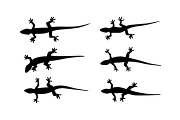Fototapeta na wymiar set of asian house lizard silhouette shape vector