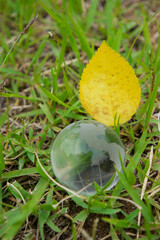 식물을 지켜라, 지구를 지켜라.