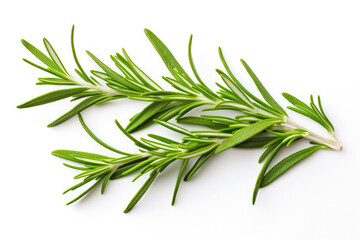 Fototapeta premium Rosemary fresh healthy herb leaves on white background. Fresh wholefoods farmer's market produce. Healthy lifestyle concept and healthy food.