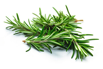 Rosemary fresh healthy herb leaves on white background. Fresh wholefoods farmer's market produce. Healthy lifestyle concept and healthy food.
