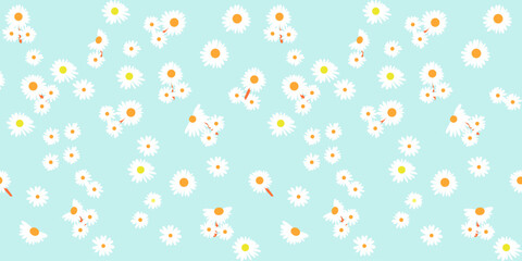 pattern Daisy flower on a blue pastel background