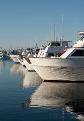 Boats Moored at Marina in San Diego Harborwith Reflections