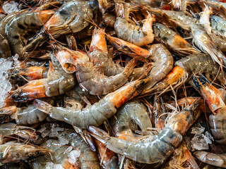 Fresh uncooked prawns in grocery
