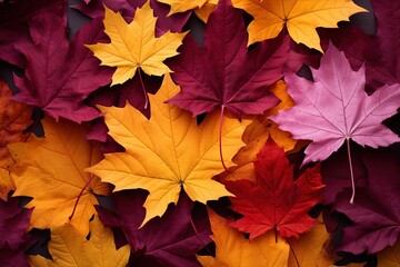 Naklejka na ściany i meble background of autumn leaves. Concept of fall foliage