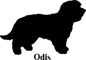 Odis Dog silhouette dog breeds logo dog monogram logo dog face vector
SVG PNG EPS - obrazy, fototapety, plakaty