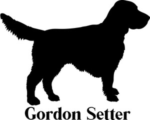 Gordon Setter Dog silhouette dog breeds logo dog monogram logo dog face vector
SVG PNG EPS