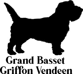 Grand Basset Griffon Vendeen Dog silhouette dog breeds logo dog monogram logo dog face vector
SVG PNG EPS