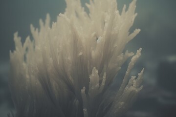 Underwater scene of coral formations with a pastel tint and macro focus.