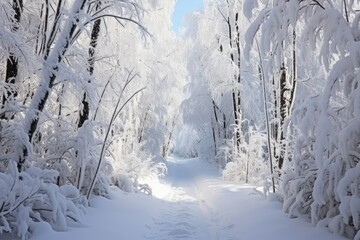 Obraz premium Snowy Forest Paths - Generative AI