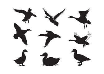 Ducks vector bundle, Heart Hands clipart, Heart Hands silhouette.