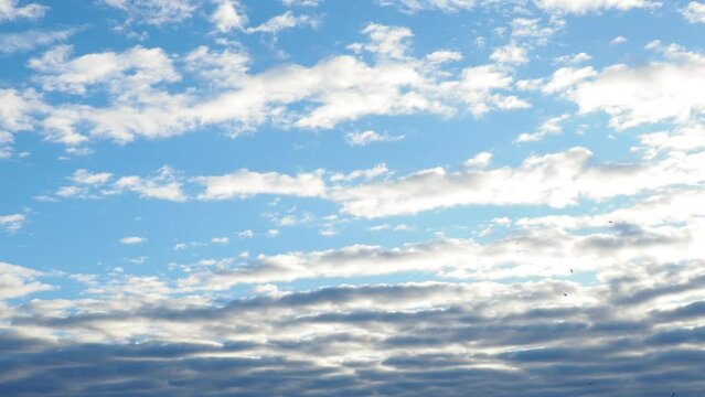 Altocumulus high cumulus heaped cloud genus that belongs mainly to stratocumuliform. Globular masses or rolls in layers or patches. Cumuliform stratocumuliform clouds, altocumulus signifies convection