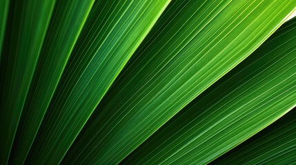 Obraz premium plant leaf macro background texture illustration abstract leaves, yellow garden, tropical wallpaper plant leaf macro background texture