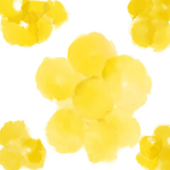 yellow flowers isolated on white