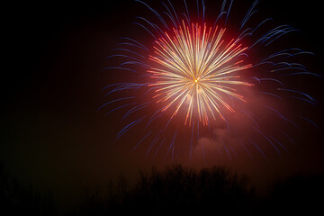 long exposure firework explosion over trees