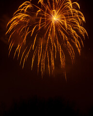 Shower of golden fireworks over trees