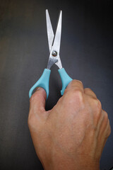 Woman's left hand holding scissors for grooming dogs on white background, Open blades, Accessories for cut, trim about Dog, Cat, Animal care in beauty salon concept, Close up shot