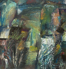 village under the first snow