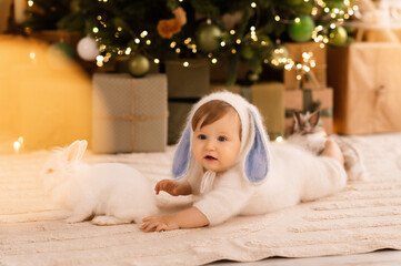 Obraz premium little child with a rabbit, the child plays with a bunny on the background of the Christmas tree