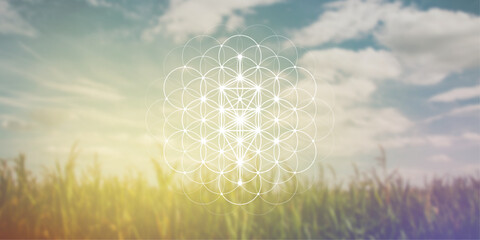 Flower of life. Tree of life. Sacred geometry spiritual new age futuristic illustration with transmutation interlocking circles, triangles and glowing particles - obrazy, fototapety, plakaty