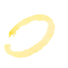 chips brush 