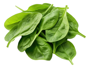 Fresh spinach leaves isolated.